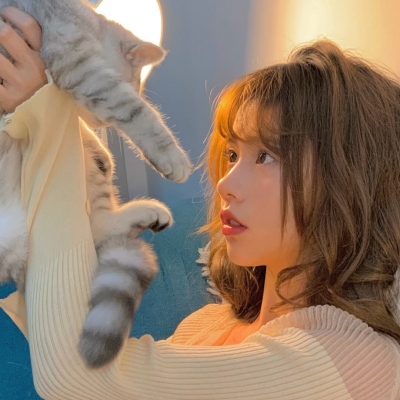 澎湃早晚报｜早餐湃·要如何正确解读碰撞测试？