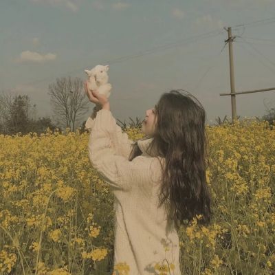 ng娱乐注册网站