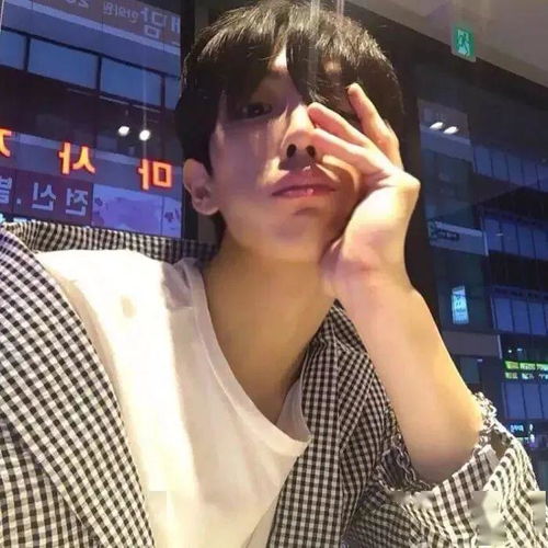 猫猫会用语言表达情绪吗？都有哪些表现方式？