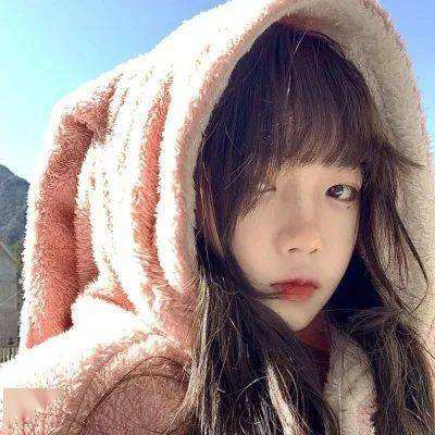 誓约之剑商城版