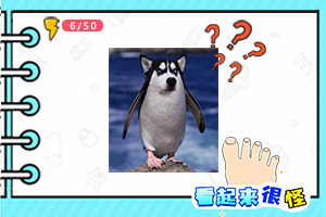 大银幕为何难敌小屏幕？