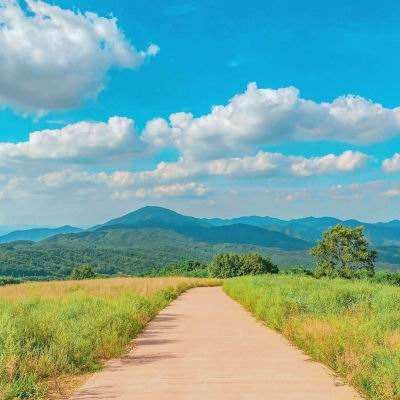 “我的体育故事”系列短视频之 《桨声不息》