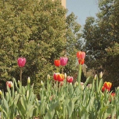 97622国际官网登录入口截图