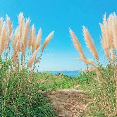 美国国际贸易法院“叫停”特朗普政府关税措施生效