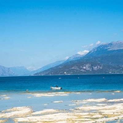 仙境传说RO：守护永恒的爱