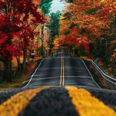 “中丹绿色创新日”举办