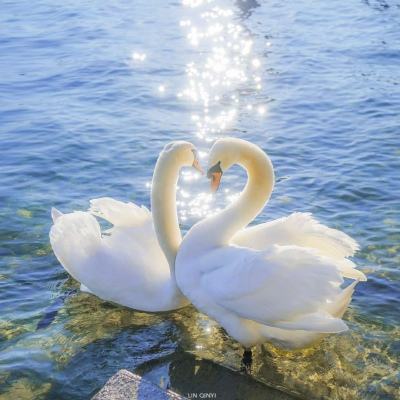 中国创新药出海新范式：闪电审批，硬核疗效