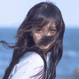 乐竞全站官网在线登录截图