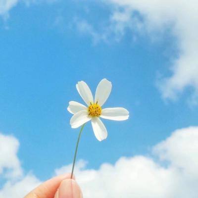 银娱优越会717官网