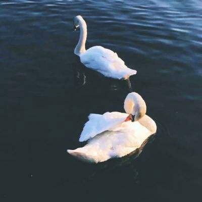 bc体育APP下载截图0