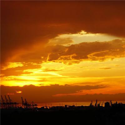 河北华通线缆集团股份有限公司2025年限制性股票激励计划限制性股票授予结果公告