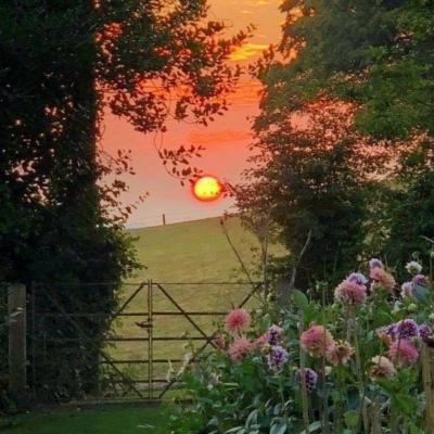 赢三张免费游戏app下载