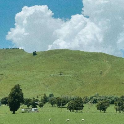 皇冠333体育相关推荐1