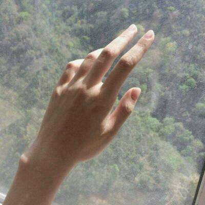 Vol. 148 东坡肘子: 闲来无事写写代码