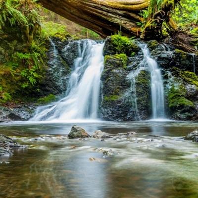 赵艾：信守初心使命，将改革进行到底