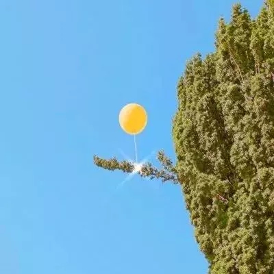 彩娱乐官方网站安装正版最新版v9.3.9.0截图1