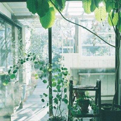 日外长访俄 讨论两国和平条约