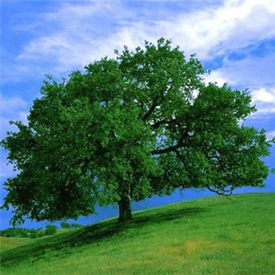 抑郁症会自愈吗