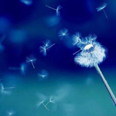 必发官网入口相关推荐1