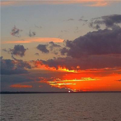 佛山新增基孔肯雅热确诊病例194例