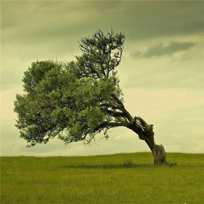 《习近平关于网络强国论述摘编》出版发行