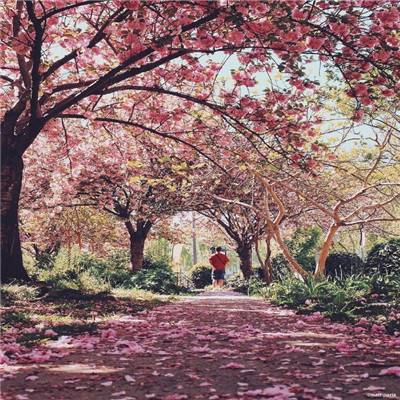 海信激光电视、新风空调等5款产品摘得2020艾普兰奖