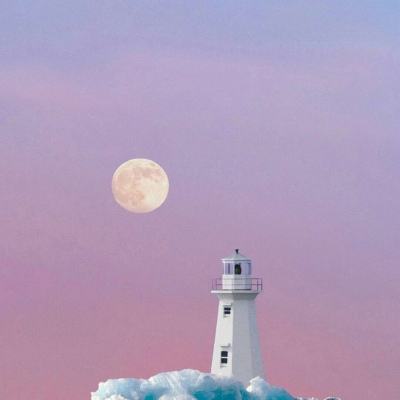 地球吸收人为排放物能力30年内减半