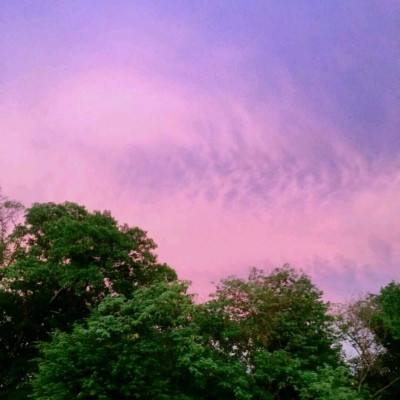 为抢经营权！27名黑衣人闯入台湾一私立医院打砸