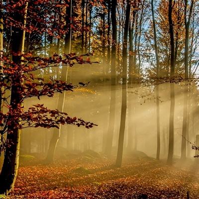 美国两位前财长对美国国债市场面临的风险发出警告