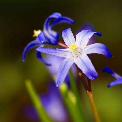 册封刘娥：宋真宗朝的真实宫斗