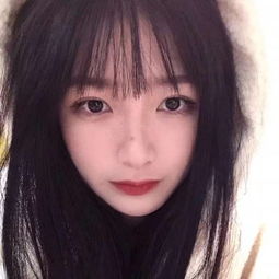 【会议邀请】共赴ICEPT 2025之约...