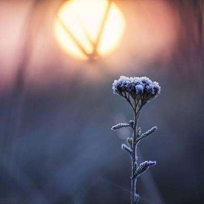 惠州仲恺区：因暴雨实行“五停”，已转移741人