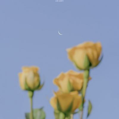 澳门中特网49509