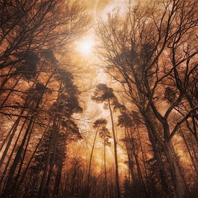 7.2万部古籍网上免费读