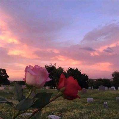 澳大利亚威斯尼斯wns888