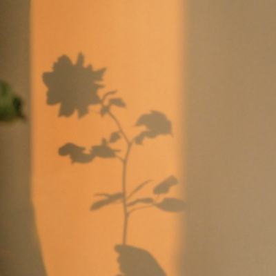 蔡正元批赖清德是极端“台独分子”