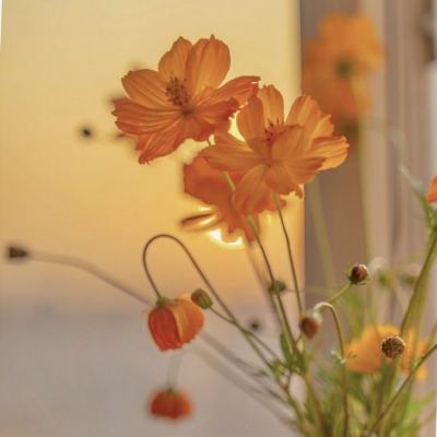 新闻我来说｜这618张照片，是世界需要知道的真相