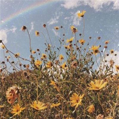 鄂北水资源配置一期工程试通水 惠及482万人