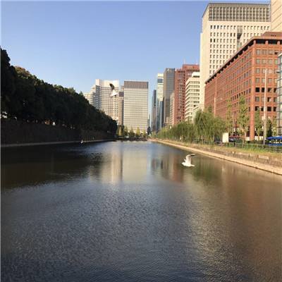 把城市安放在自然中