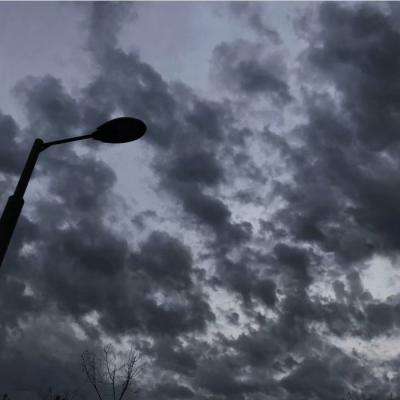 新洲村：数字化浪潮下的“餐饮创新村”