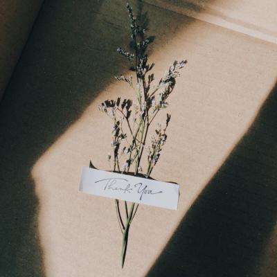 B体育·(sports)官方网站手机app下载