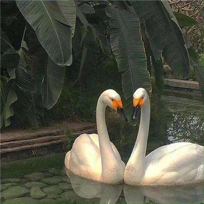 吧友神预言利物浦引援名单 火出国外