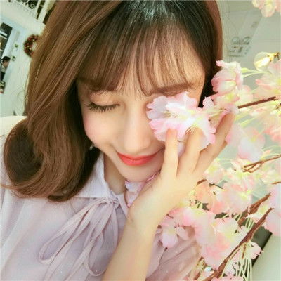 大红鹰论坛网站