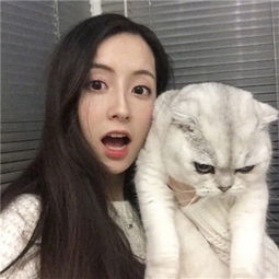 欧宝娱乐官网入口