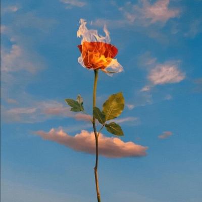 青少年脊柱侧弯不可忽视（委员信箱）