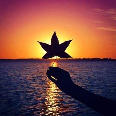 BBC调查加沙儿童遭枪击：2/3年龄不足12岁