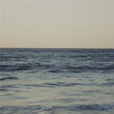 麻将胡了2的网站相关推荐1