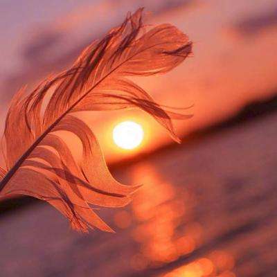 开元国际棋牌在线安装正版最新版v2.5.3.6截图4