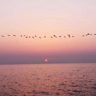 云开体育竞猜官网截图