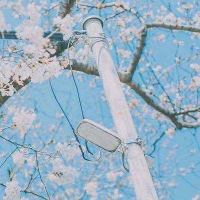 14亿人5毛一度电的稳定供应背后...